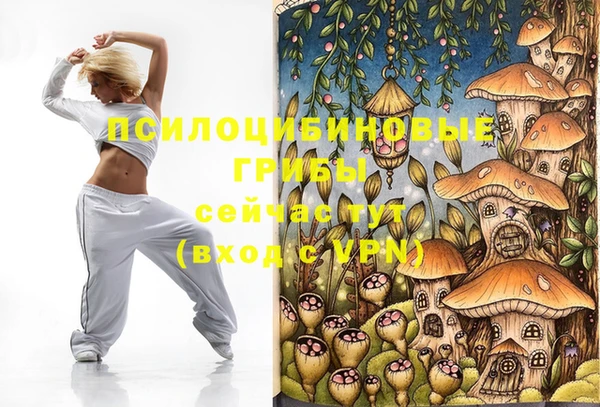 синтетический гашиш Протвино