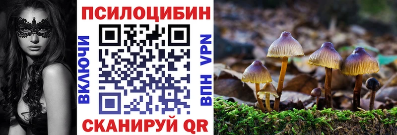 Галлюциногенные грибы Psilocybine cubensis  Новая Усмань 